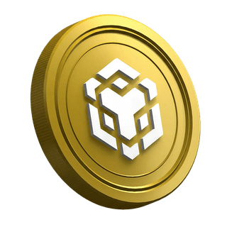 Halaman panduan trader baru menampilkan koin kripto Binance BNB